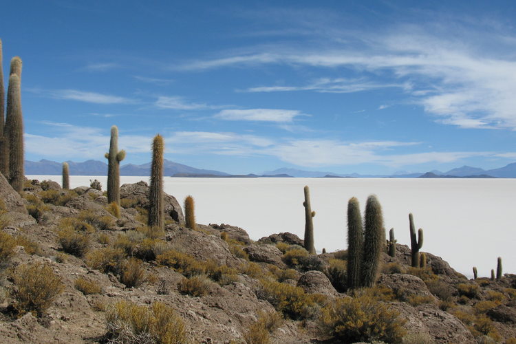 Vacilando @ Salar de Uyuni, Bolivia